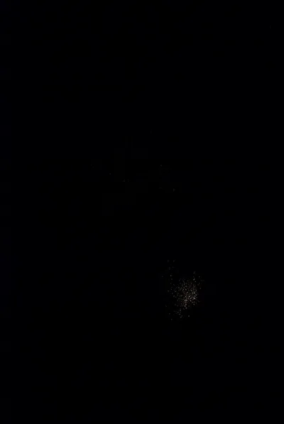 DSC_0110 (Large).JPG